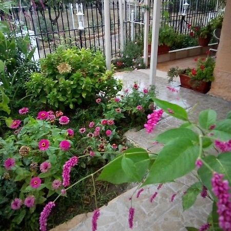 Villa Angela, Traditional Villa In The Village Agios Ioannis Peristerion Exteriér fotografie