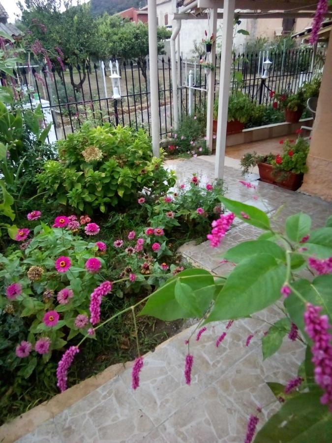 Villa Angela, Traditional Villa In The Village Agios Ioannis Peristerion Exteriér fotografie